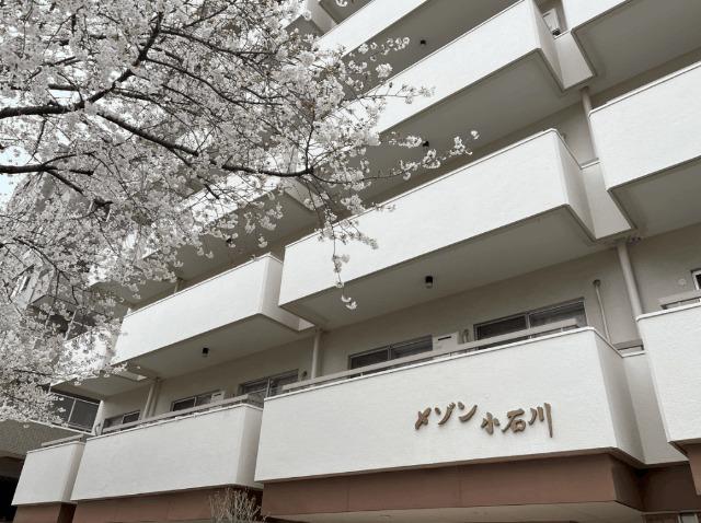 メゾン小石川（402） 物件画像