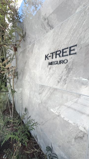 Ｋ−ＴＲＥＥ目黒 物件画像