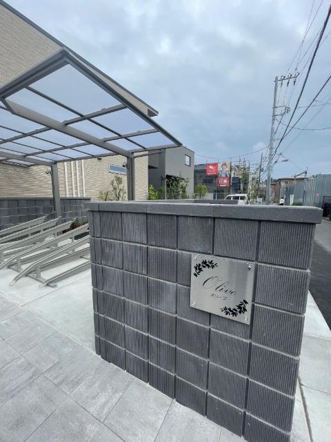 オリーブ（0102） その他