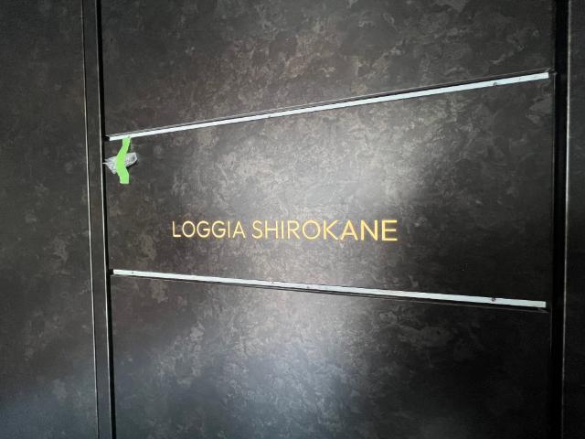 ＬＯＧＧＩＡ　ＳＨＩＲＯＫＡＮＥ（0101） その他