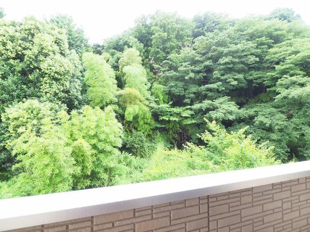 Tortuga　C（301） 眺望