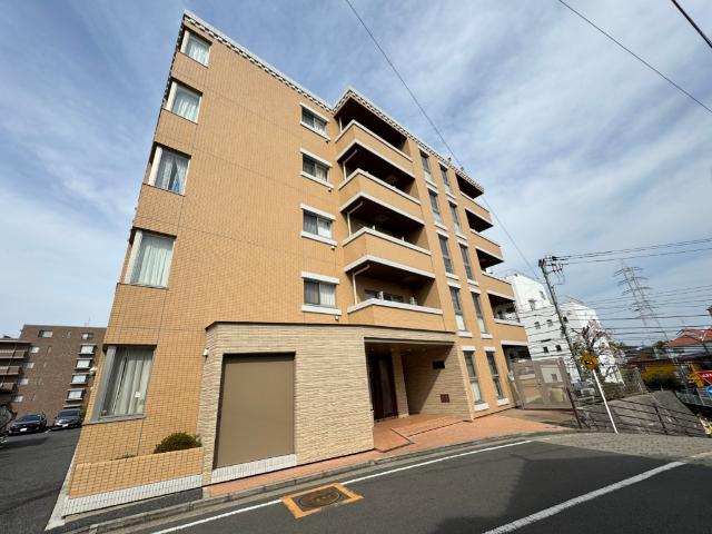Ｌａｐｉｓ　ｈｉｌｌｓ（0406） 外観