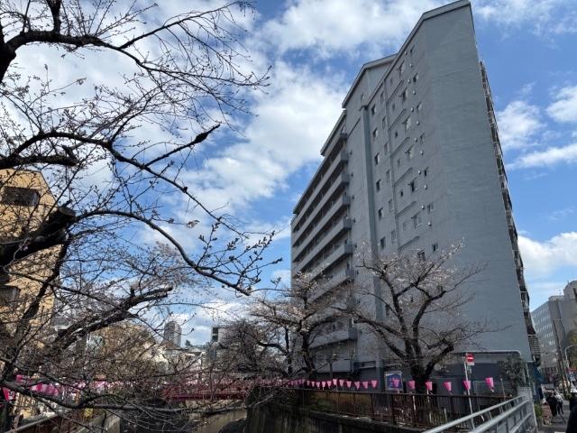 目黒ハイツ 外観