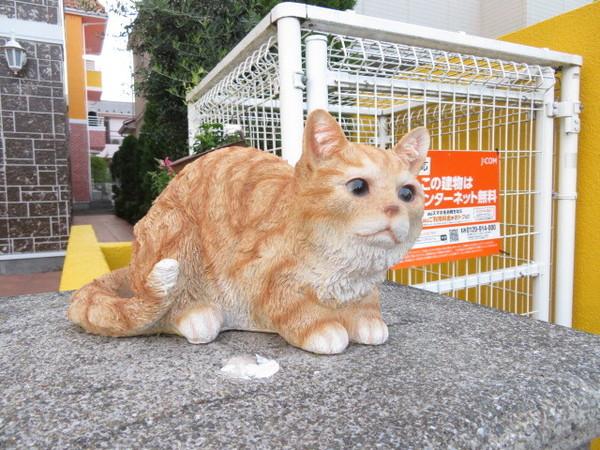 ミニョン・シュシュ 物件画像