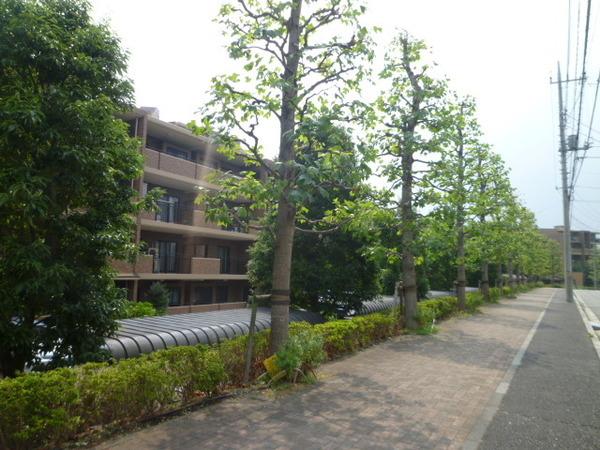 港北ニュータウンイオ・プレジオの丘７番館 物件画像