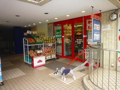 徒歩３０秒