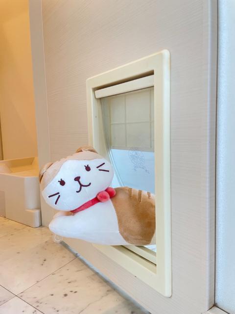 ウィステリアコート関町 物件画像