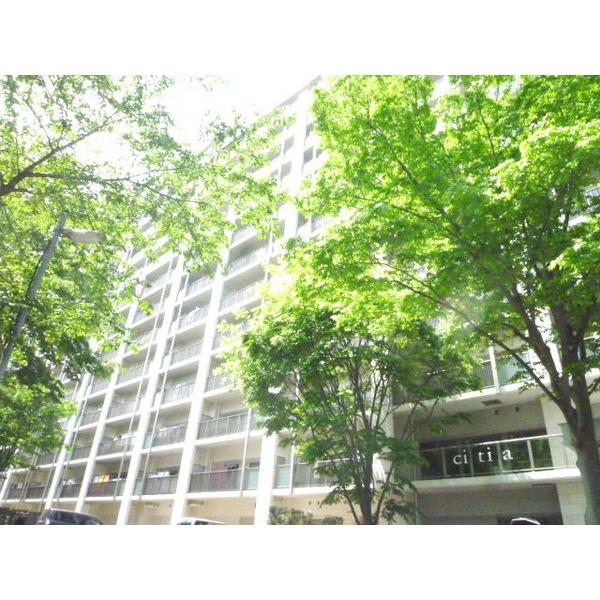 ｃｉｔｉａＢｄ棟 物件画像