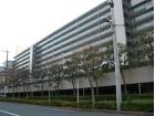 豊洲ハイライズ外観1