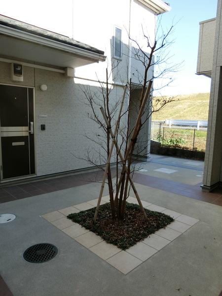 Ｐａｔｉｏ 物件画像