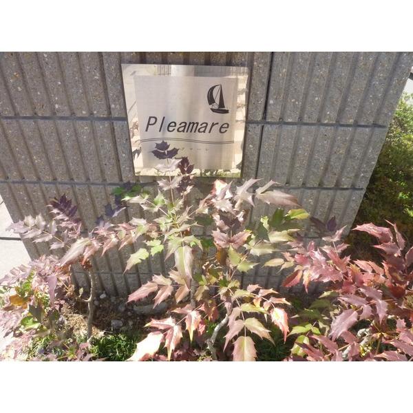 Ｐｌｅａｍａｒｅ 物件画像