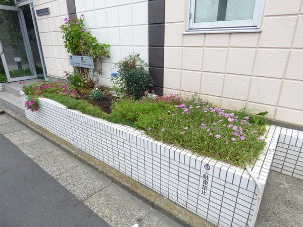 パイントリー 物件画像