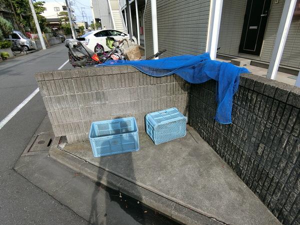 フラワーエクセル 物件画像