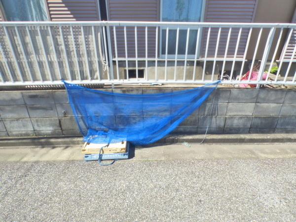 ペガサスハイツ 物件画像
