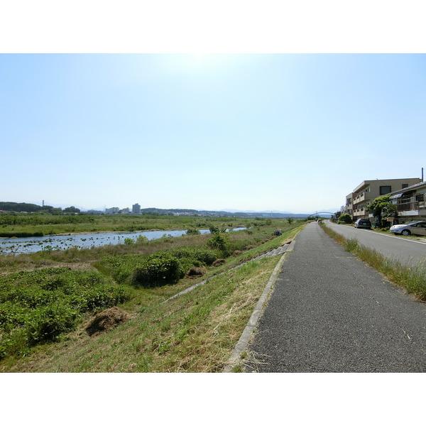 多摩川