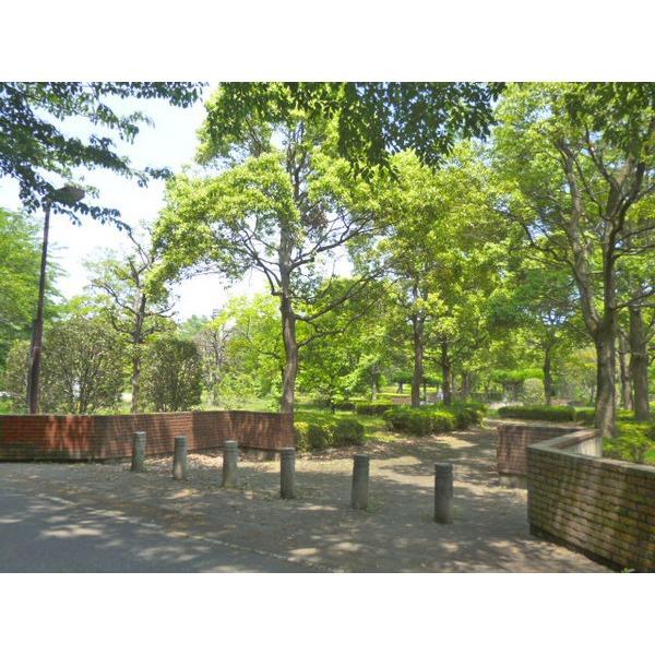 運動公園