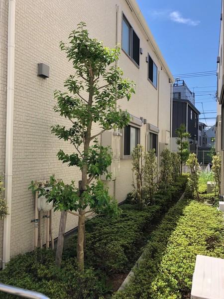 Ｌｕｍｉｎｏｓｏ　Ｃ棟 物件画像