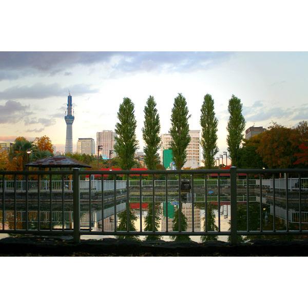 猿江恩賜公園