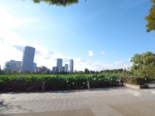 周辺環境画像