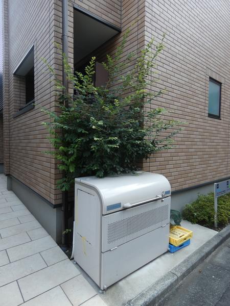 Ｐｌａｎｃｈｅ自由が丘 物件画像