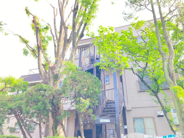和泉コーポ 物件画像