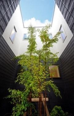 ７ｔｈＡｖｅｎｕｅＳｅｒｅｎｏⅡ 物件画像