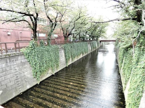 目黒川