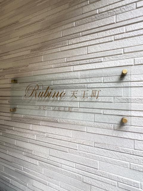 Ｒｕｂｉｎｏ天王町 物件画像