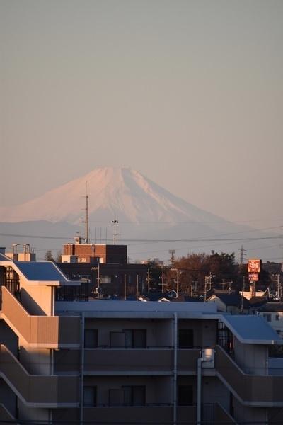 アイディーコート天王台 物件画像