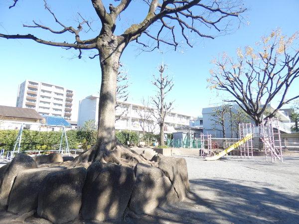 矢来公園