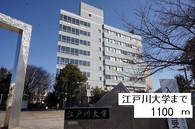 江戸川大学：1100m