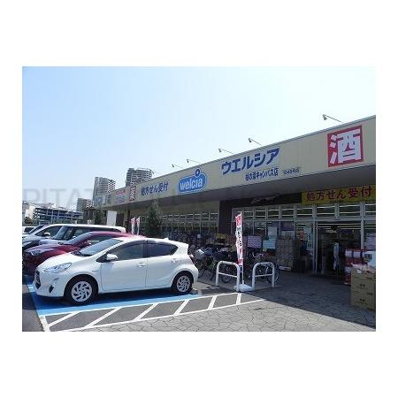 ウエルシア柏の葉キャンパス店：1200m