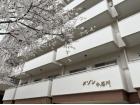メゾン小石川外観1