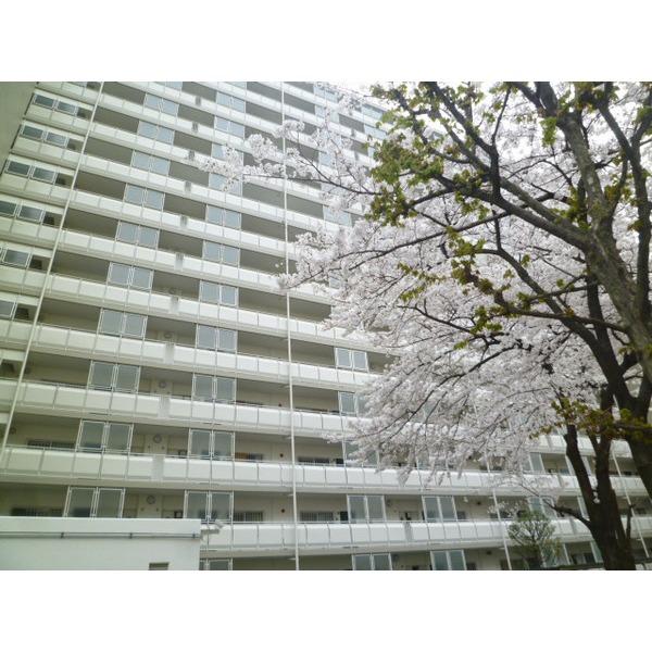 新松戸東パークハウスＡ棟 物件画像