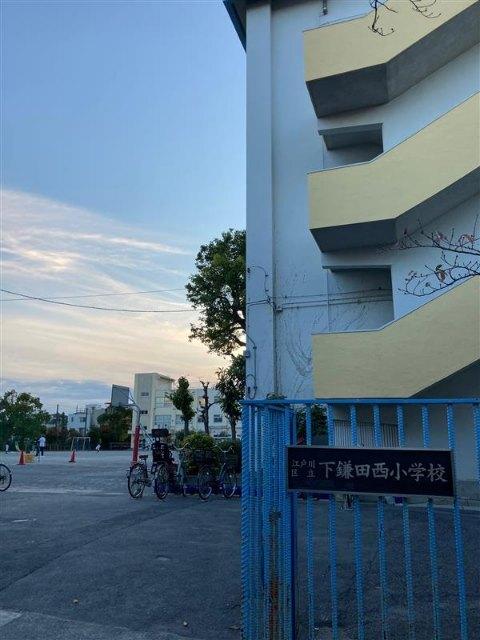 江戸川区立下鎌田小学校：728m