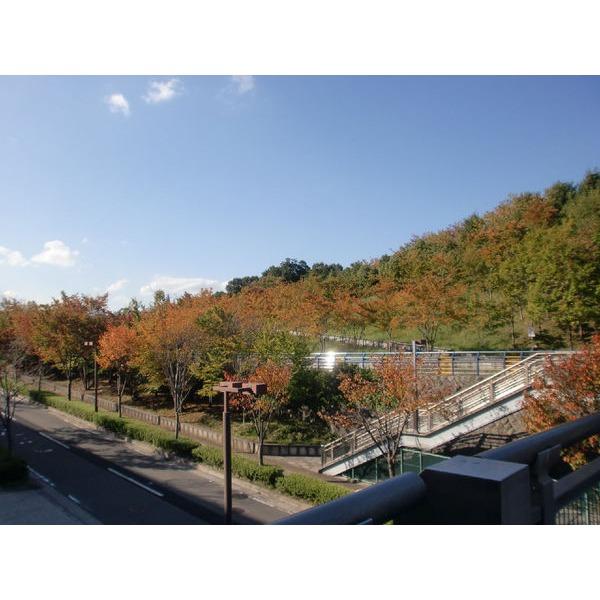 都筑中央公園