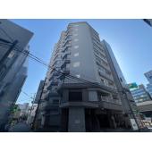 白を基調とした外観