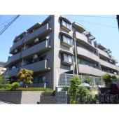 東南側から撮影