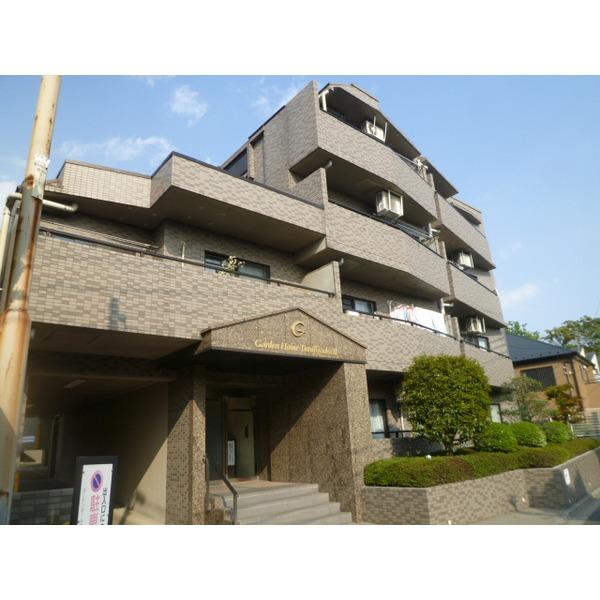 南西側から撮影