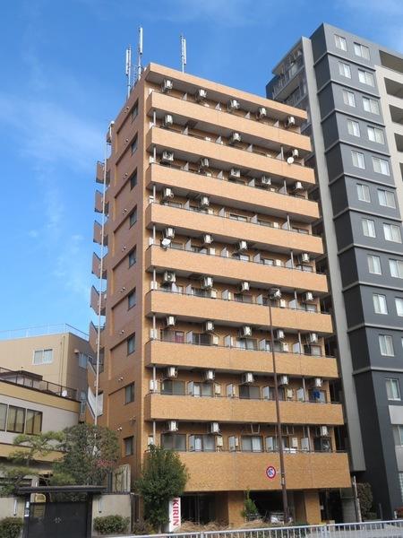 南向きで日当たり良好