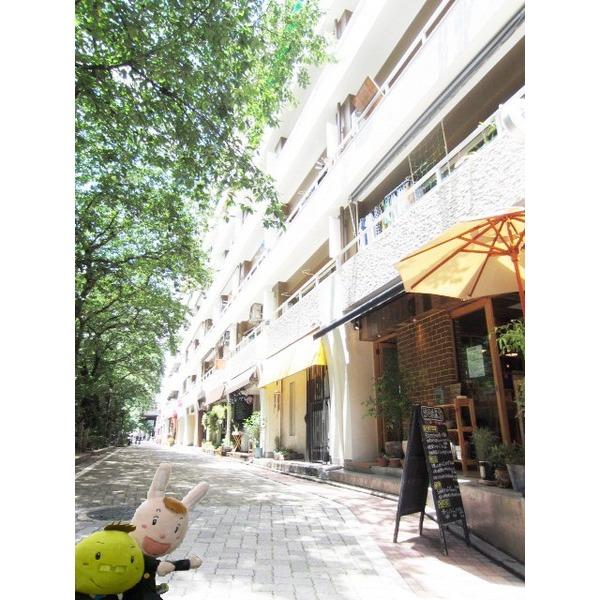 建物全面