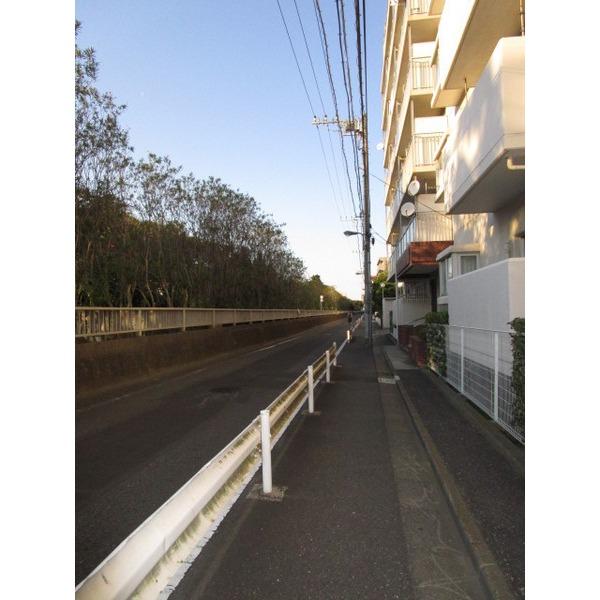 ハイラーク大島（0602） その他