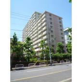 南向きのお部屋