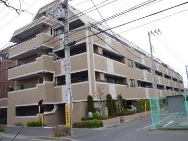 キレイな外観