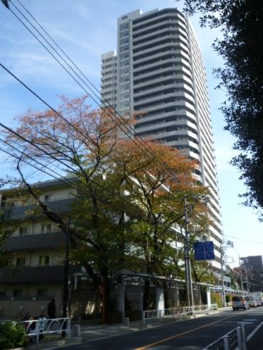 エルザ世田谷（2405） 土地画像