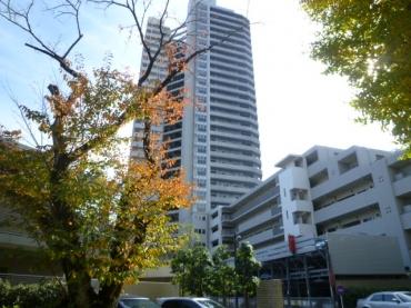 エルザ世田谷（2405） 土地画像
