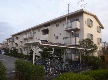 外観エントランス側