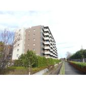 開口部前面は高い建物無く日当たり良好。