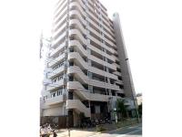 １３階建のマンションです