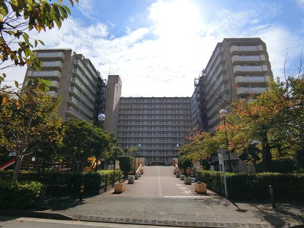 北側より撮影